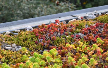 the cost of Curry Lane green roof installation